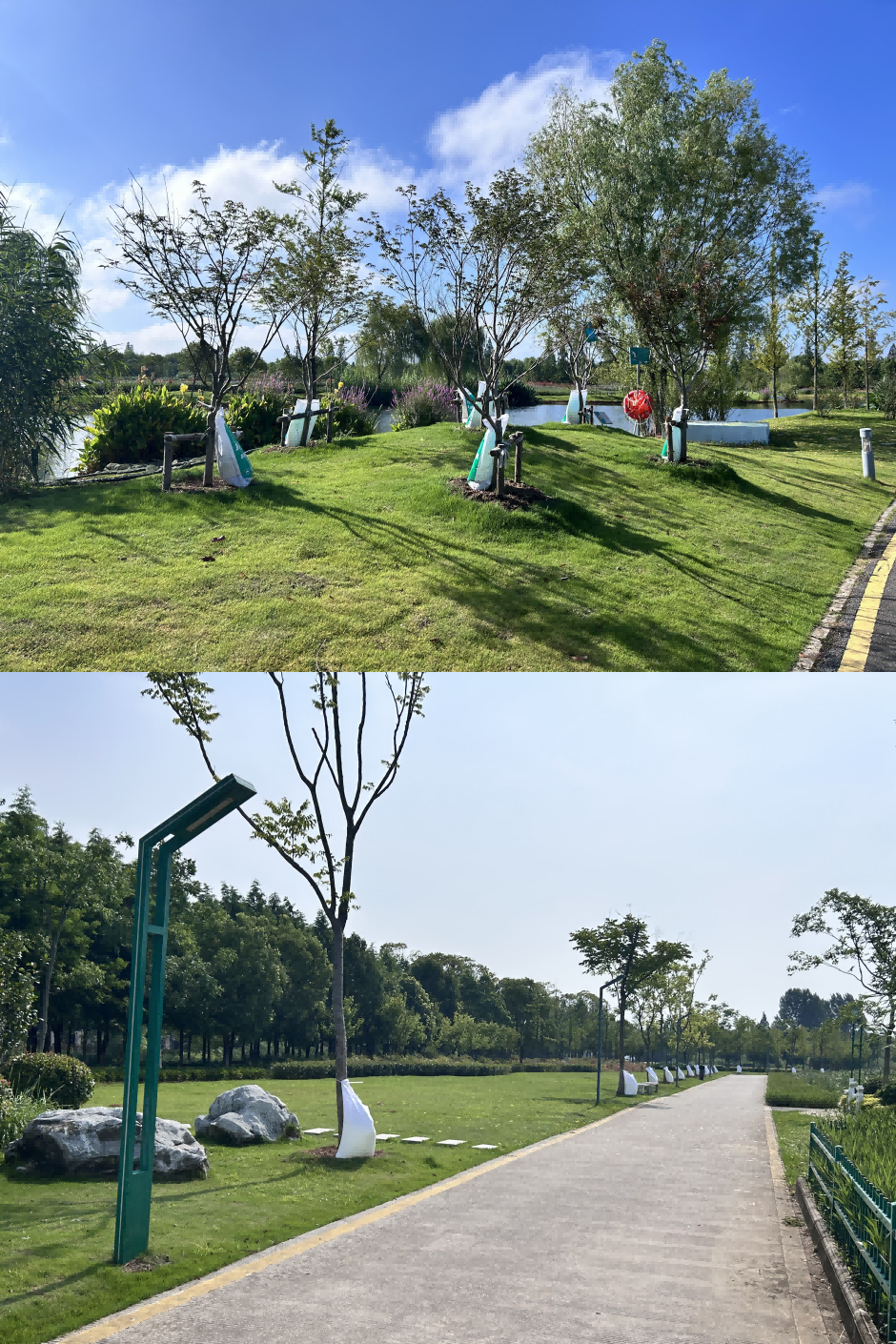 1756612469276550.png 1.png